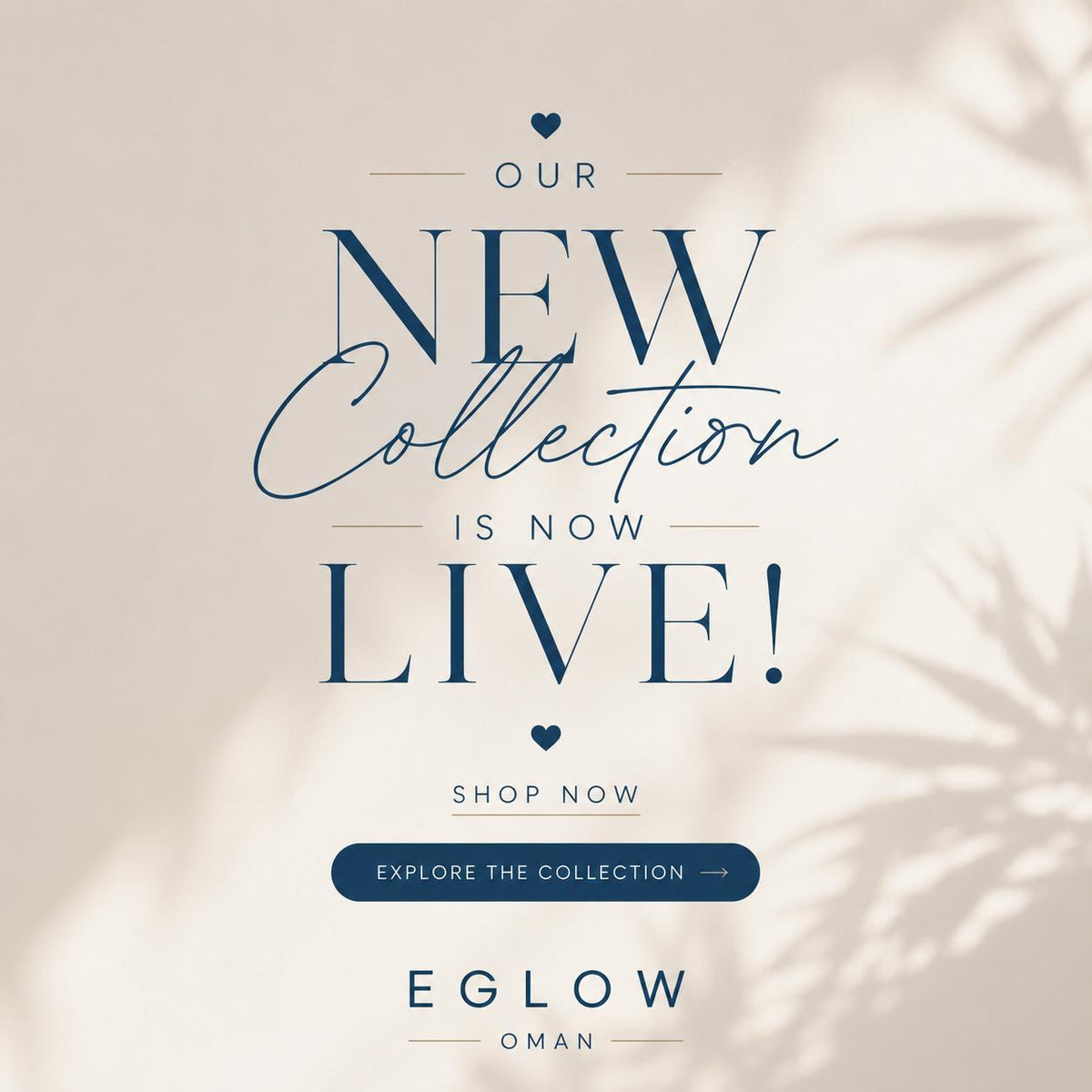 New Collection