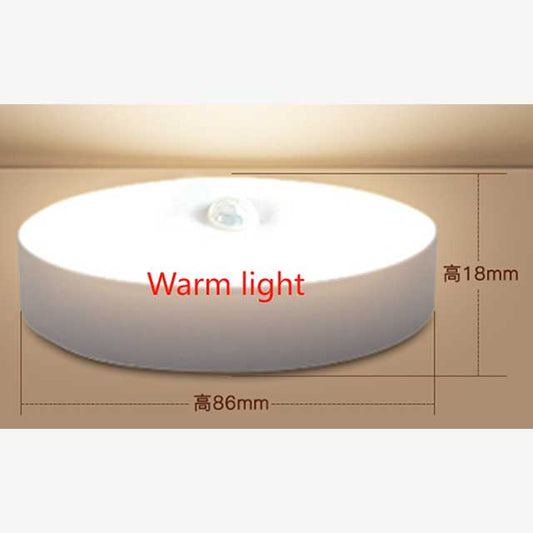 LED Motion Sensor Night Light with 2 Color Modes - USB Rechargeable Indoor Lighting for Home, Bedroom, Hallway