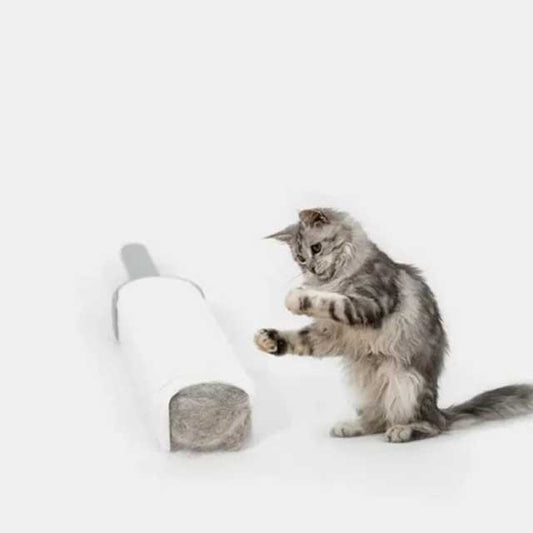 Sticky Brush for Cat Hair & Dandruff Removal – Effective Pet Grooming Tool for Clean & Healthy Fur