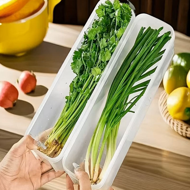 Transparent Refrigerator Fresh-keeping Storage Box | Airtight Food Preservation Container & Kitchen Organizer